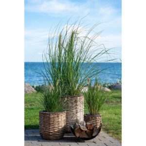 Hanoi Planter - Pflanzgefäß, Wasserhyazinthe, rund, natur, 3er-Set – Bild 2